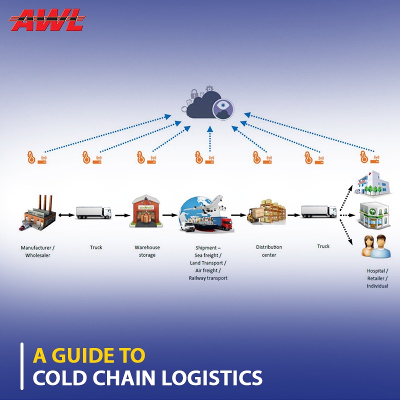 A Guide to Cold Chain Logistics